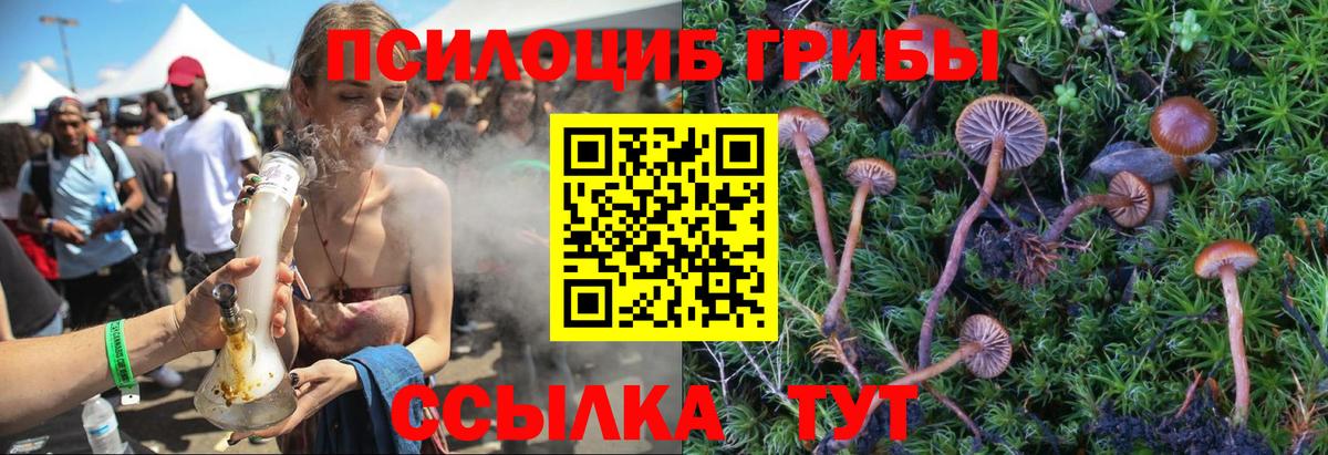 Галлюциногенные грибы GOLDEN TEACHER  Вход с VPN  Псилоцибиновые грибы Magic Shrooms  Мелеуз 